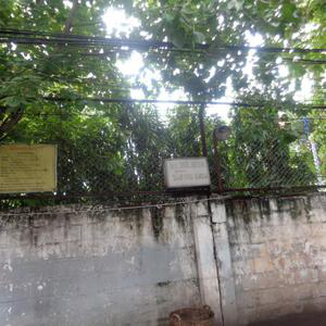 Phòng khám Sản phụ khoa - BS. Hồ Hoa