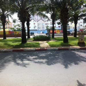 Phòng Khám Tai mũi họng - ThS.BS. Chu Lan Anh