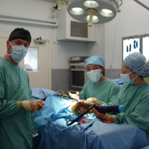 Phòng khám Saigon Pet 