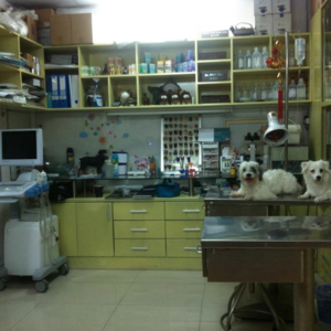 Phòng khám Thú Y Family Vet 2