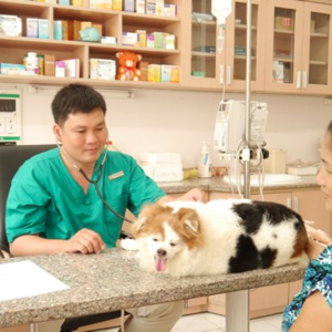 New Pet Hospital 1