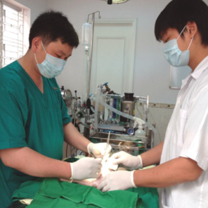 New Pet Hospital 2