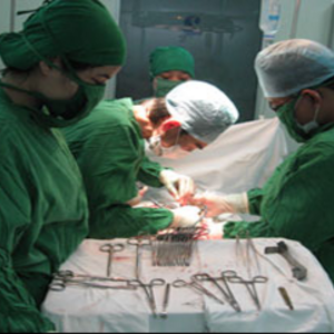 Nha Khoa Thẩm Mỹ AVA Văn Lang