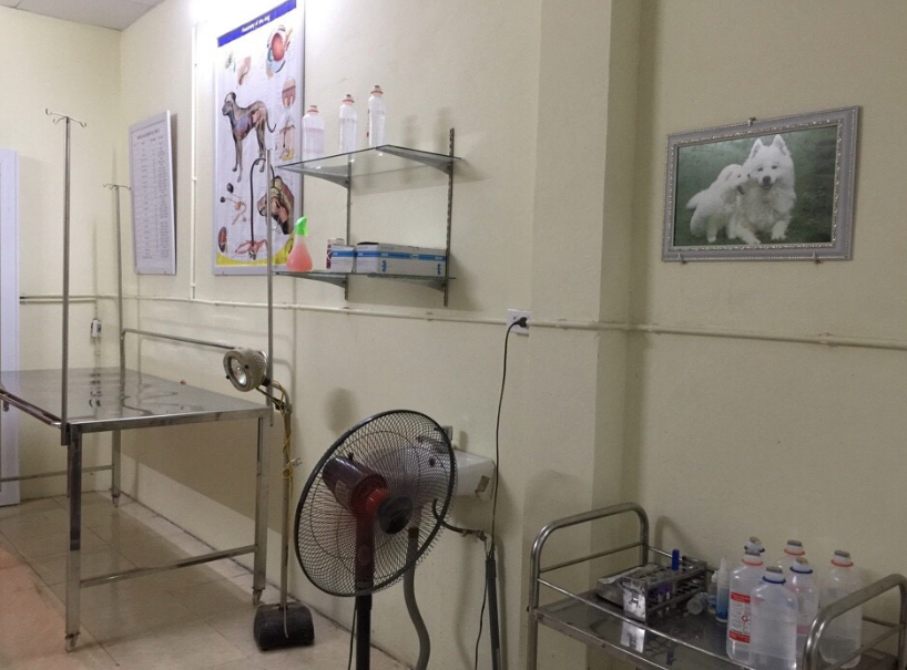 Bệnh Xá Thú Y - Viện Thú Y Quốc Gia 1