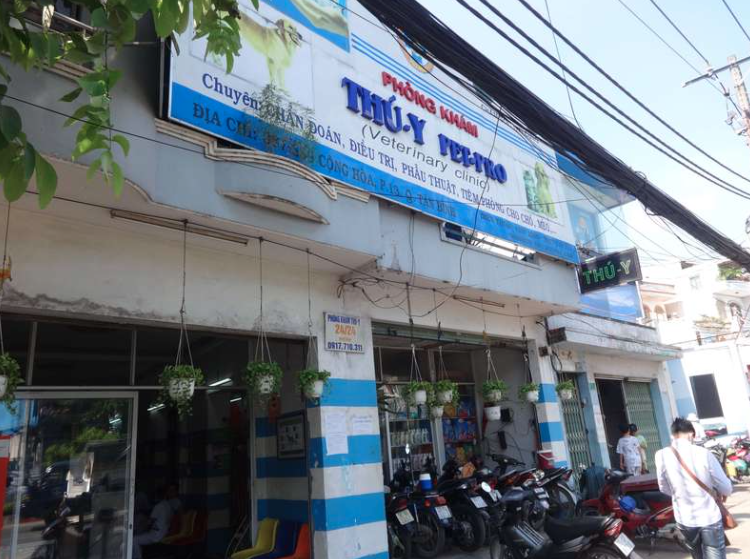 Thú Y Pet Pro 2