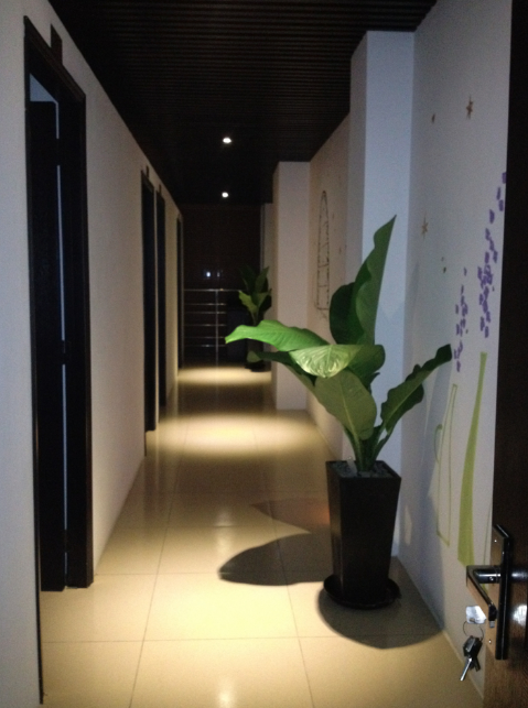 Tokyo Relaxation & Beauty