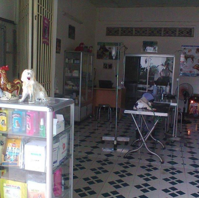 Phòng khám Thú Y Bạn Tâm Giao - BS. Hồ Quang Trung