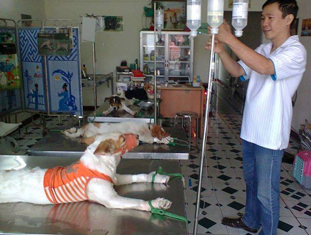 Phòng khám Thú Y Bạn Tâm Giao - BS. Hồ Quang Trung