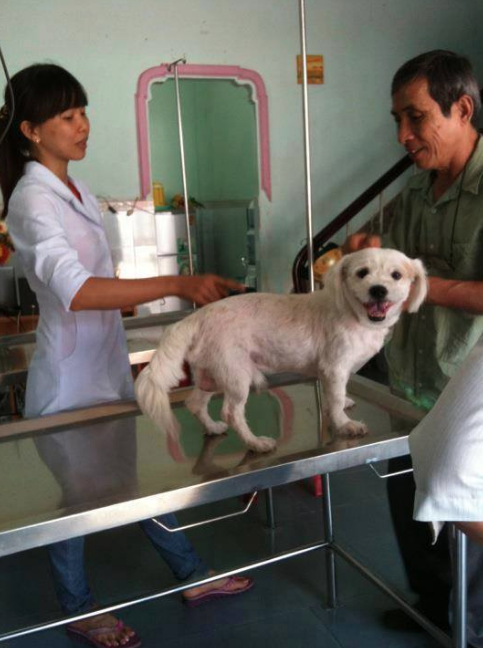 Phòng khám Thú Y Lucky Pet - BS. Thi Thị Vân Thanh & BS. Nguyễn Huỳnh Trực