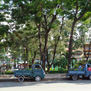 Phòng khám Chẩn trị Y học cổ truyền Thái Hòa Xuân Dược Phòng