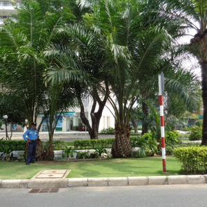 Nha Khoa Lan Anh - Phú Mỹ Hưng Garden