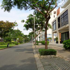 Nha khoa An Pha - Alpha Dental Clinic 