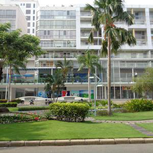 Nha khoa An Pha - Alpha Dental Clinic 