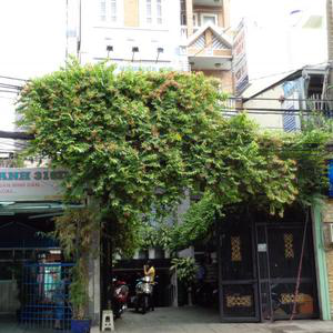 Nha Khoa Sao A - ThS.BS. Đoàn Minh Trí