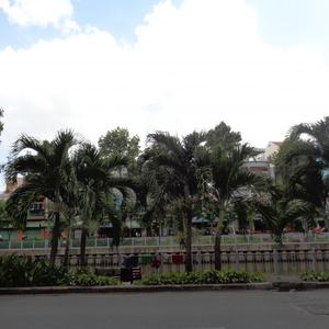Phòng Khám BS. Nguyễn Năng Viện